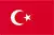 language icon