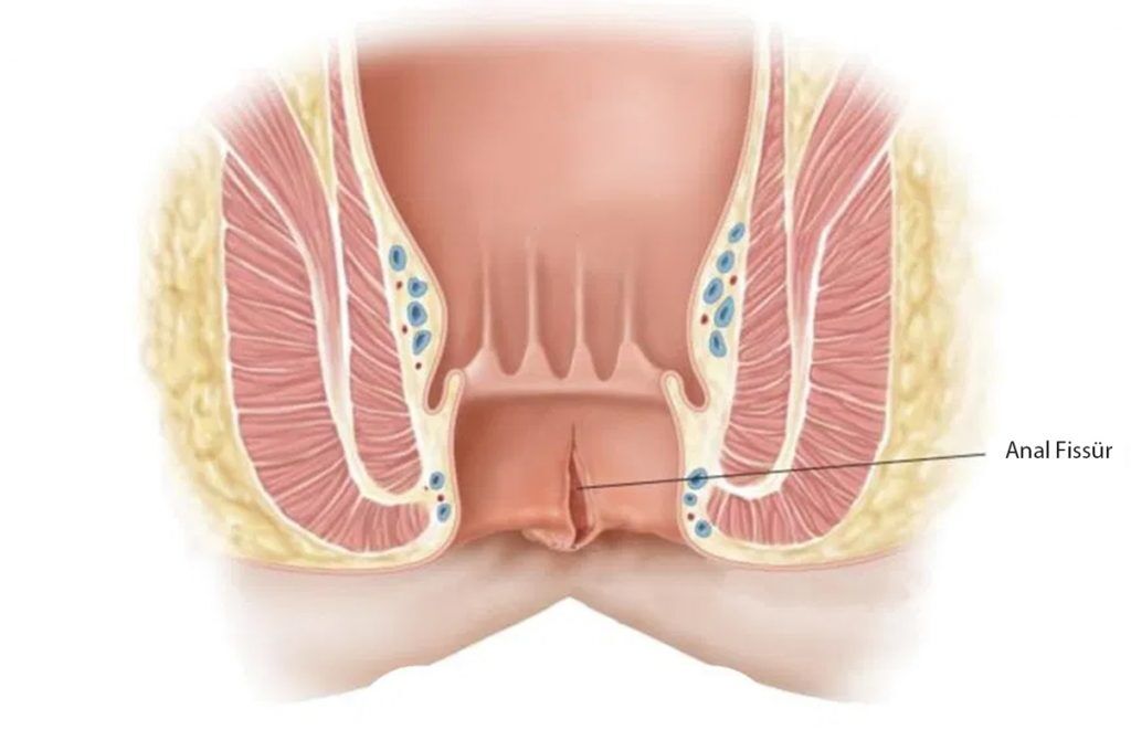 Onlayn porno ona ota qizi ogli